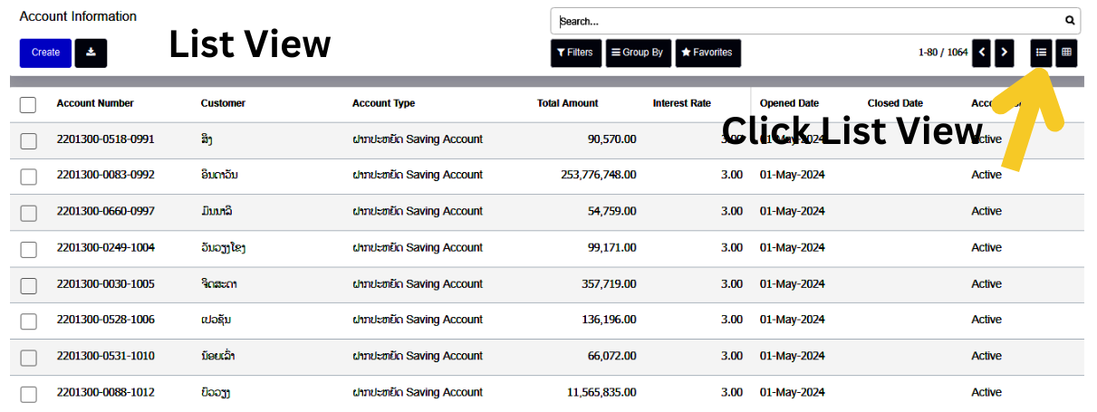 account list view